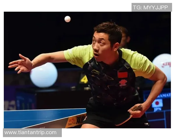 深入探讨上海乒乓球队成员个人能力差异及其对整体表现的影响