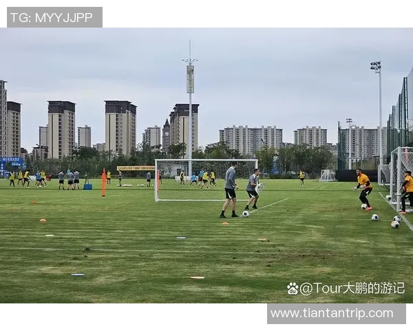 赛后分析：西安足球队与南京足球队的战术意识与表现对比